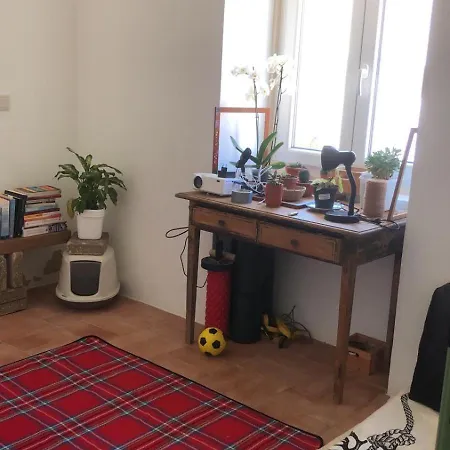 Bed & Breakfast Consciencia Viva Encarnacao