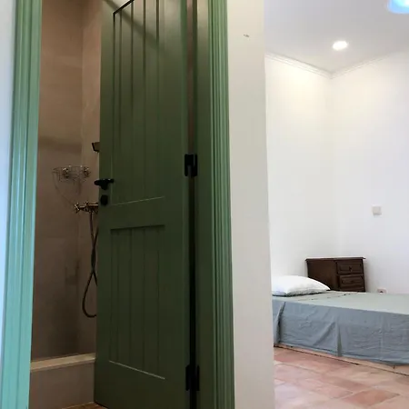 Consciencia Viva Encarnacao