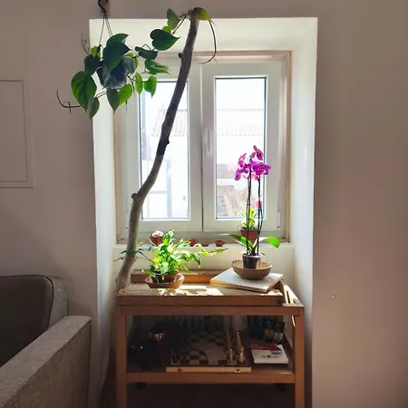 Consciencia Viva Bed & Breakfast